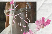 Pressed Bloom Dopamine Set, an Object Graphic by Muse Artist (Thumbnail 8 of 16)