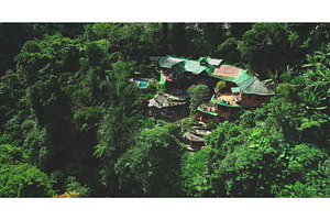 Stunning Jungle Retreat Surrounded, a Nature Photo by Goinyk