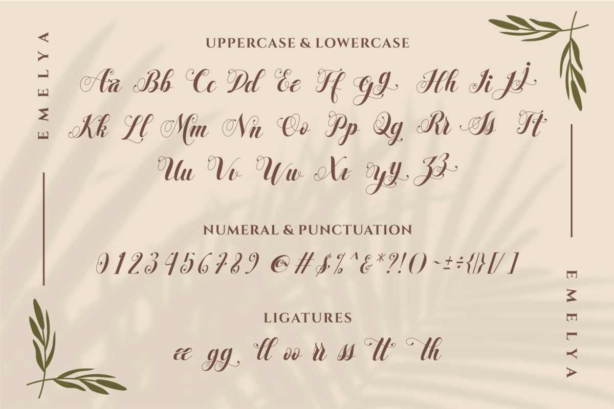 Emelya - Elegant Calligraphy Font, a Script Font by Idea Studio (Photo 8 of 11)