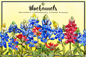 Bluebonnet Watercolor Clip Art