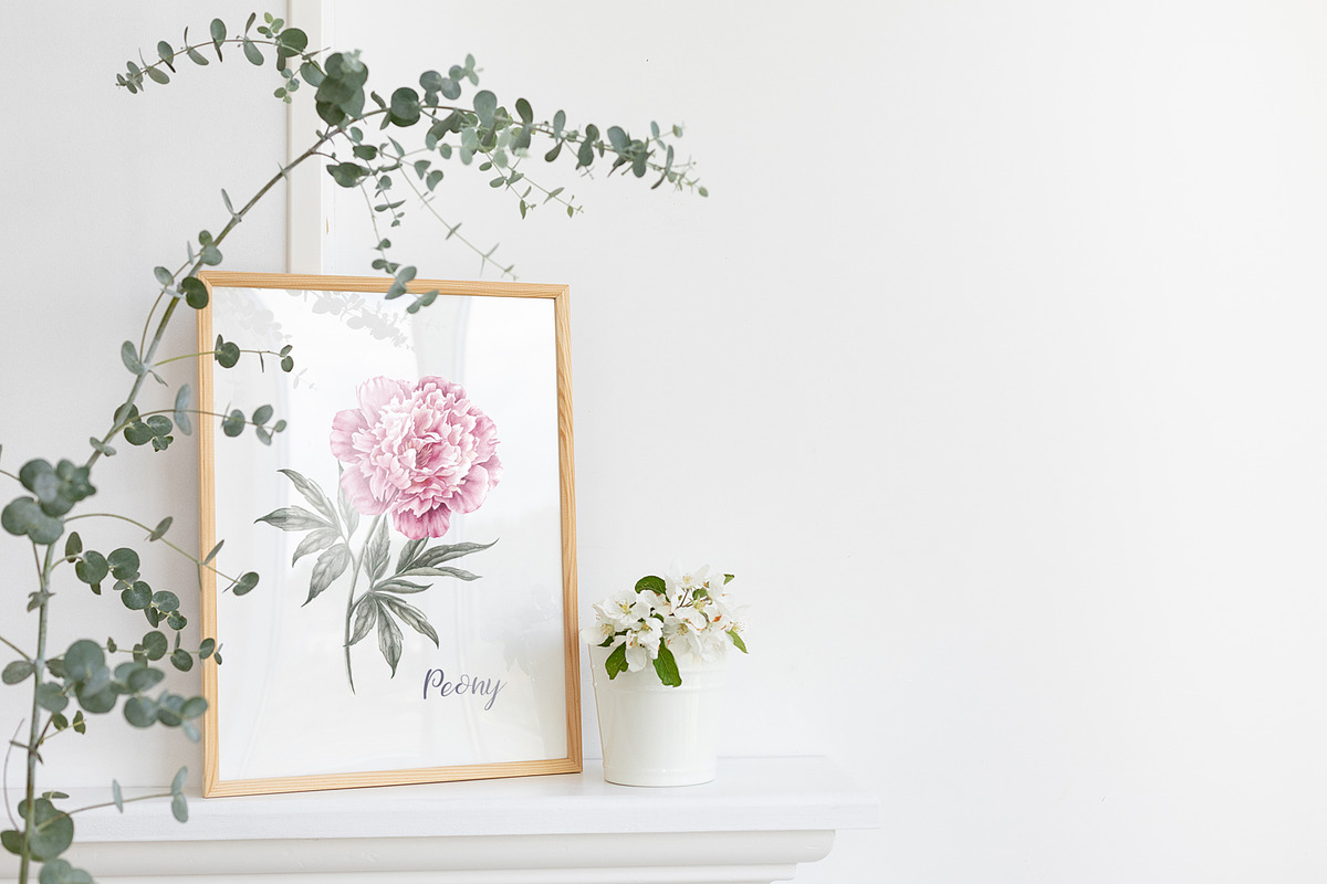 12 Watercolor Peonies PNG, a Decorative Illustration by Kotkoa (Photo 11 of 11)