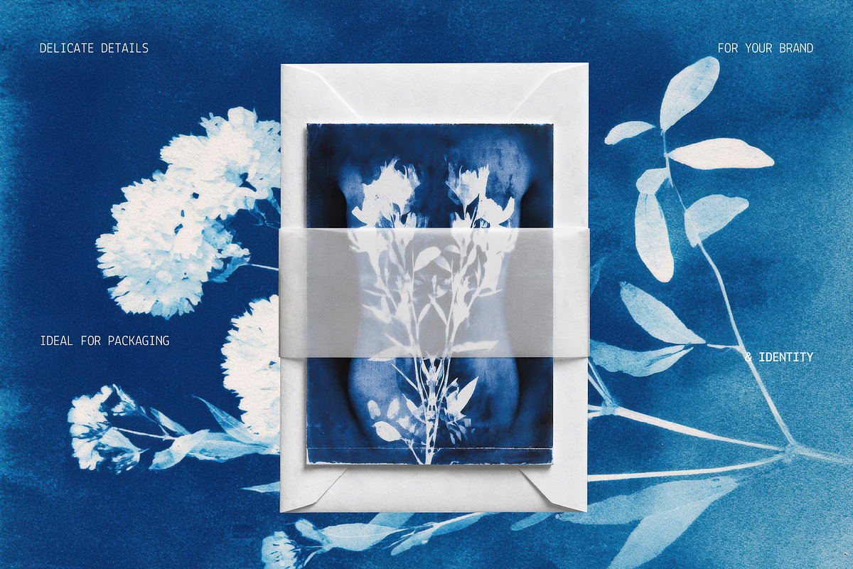 Red Embroidery&Cyanotype Collection, an Object Graphic by Hello Muse (Photo 6 of 13)