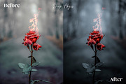 14 Dark and Moody Lightroom Presets, a Preset Add-On by ThemeTango (Thumbnail 3 of 10)