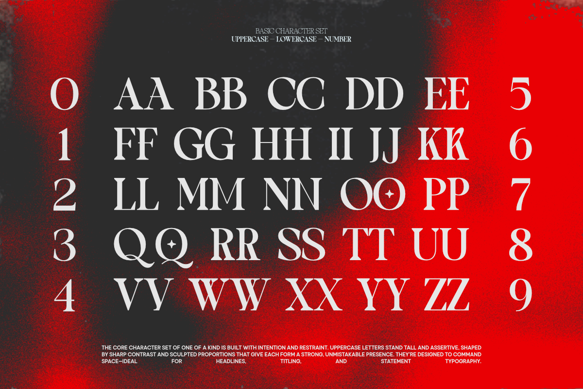 TBJ One Of A Kind Serif Font Family, a Serif Font by Taboja Studio (Photo 2 of 21)