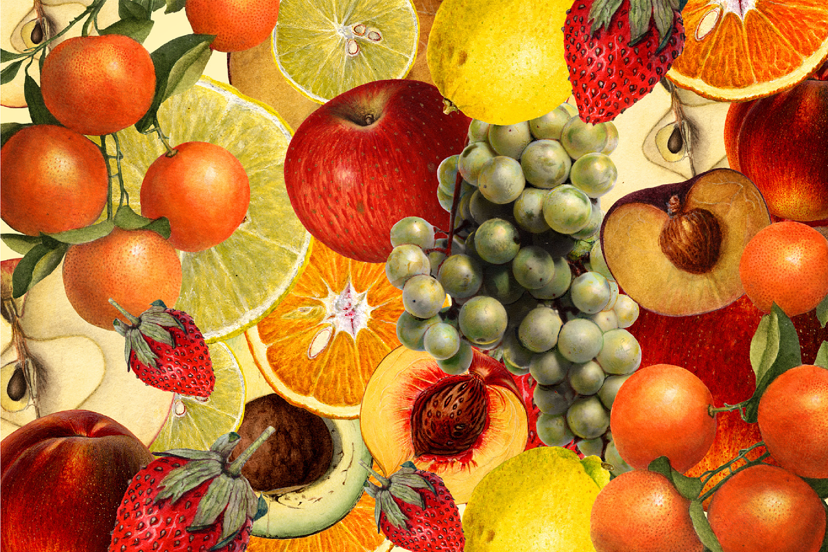 Vintage Fruit Illustrations, a Food Illustration by Catty Studio (Photo 2 of 10)