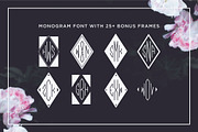 Diamond Monogram Font, a Symbol Font by Leslie Ray (Thumbnail 4 of 4)