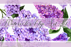 Watercolor Lilac Flowers Clipart Set