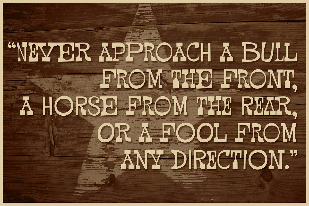 Pardner, a Serif Font by Stiggy & Sands (Photo 4 of 4)