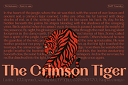 TA Solivare Variable, a Sans Serif Font by TAFT Foundry (Thumbnail 14 of 15)