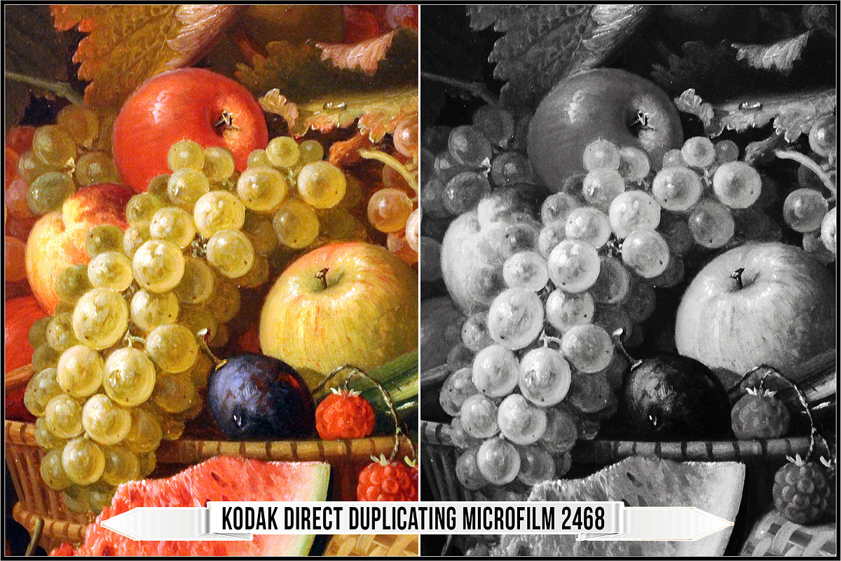 Eastman Kodak Black and White Films, a Plug-in Add-On by Raztrend (Photo 27 of 30)