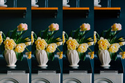 Kodak Elite Chrome, a Preset Add-On by colorituals (Thumbnail 2 of 8)