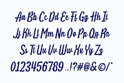 MN Havenhill - Handwritten Script, a Script Font by Mantra Naga (Thumbnail 8 of 15)