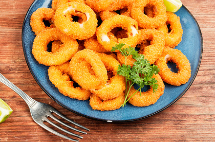 Fried squid rings breaded., a Food & Drink Photo by MLunov MLunov