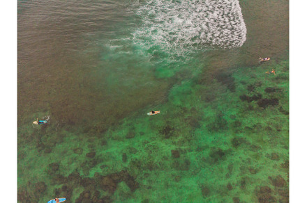 Surfers on the waves in the ocean, a Sports & Recreation Photo by Elizaveta Galitskaya