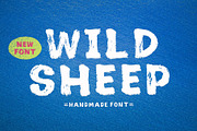 Wild Sheep, a Script Font by Stripes Studio (Thumbnail 1 of 7)