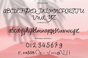 Sonia Monoline Script, a Serif Font by Beka Studio (Thumbnail 7 of 8)