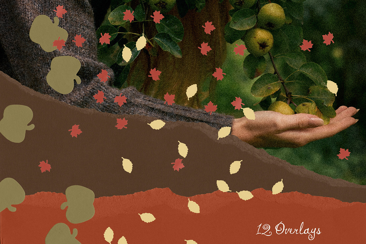 Orchard Days - Vintage Scrapbook Kit, an Object Graphic by alonahaidash (Photo 11 of 17)