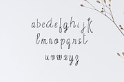Erica Script Font, a Script Font by Creativetacos (Thumbnail 3 of 5)