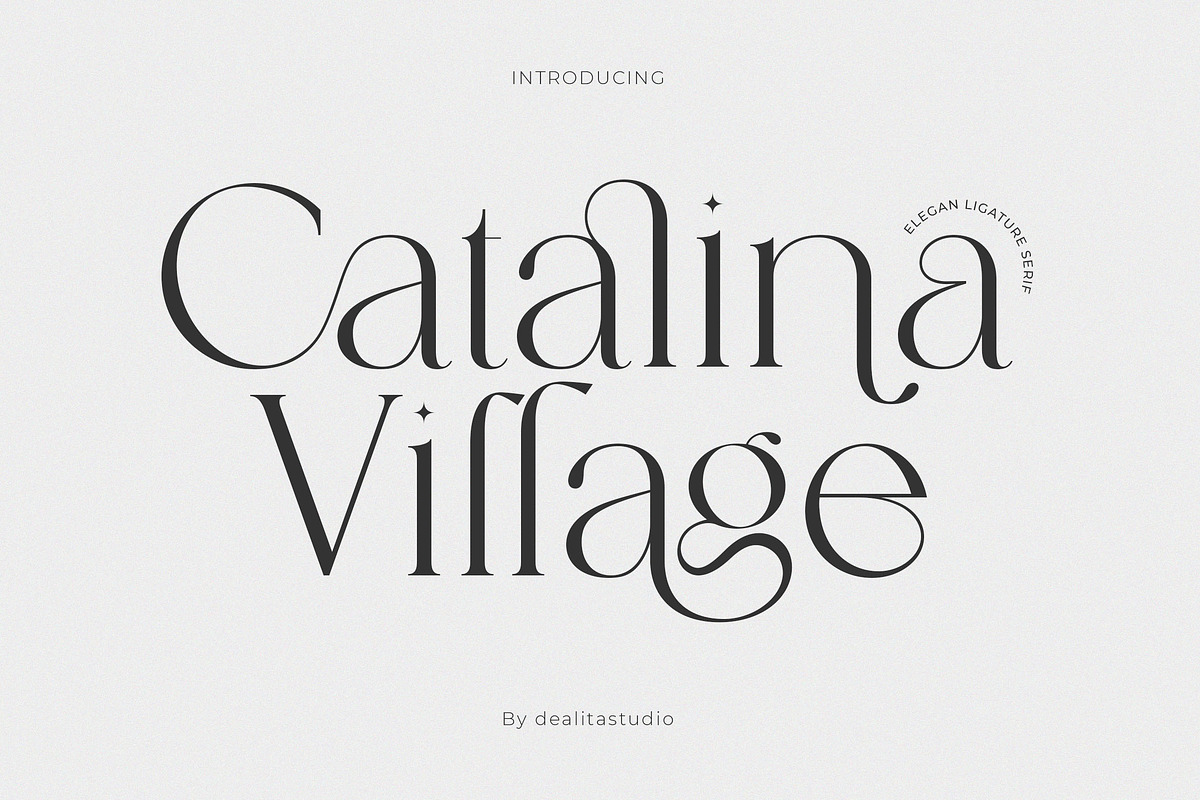 Catalina - Classy Ligature font, a Serif Font by dealitastudio (Photo 1 of 11)