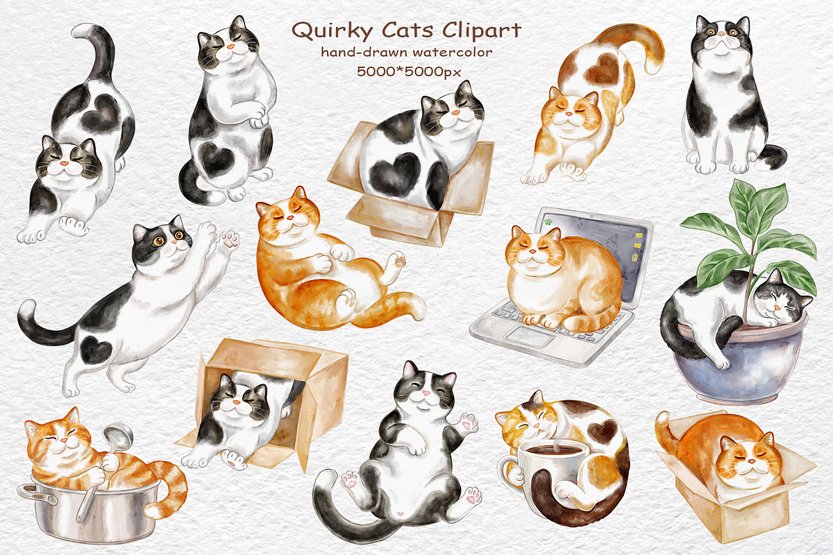 Funny Cats & Thought Bubbles - Quirk, an Animal Illustration by Watercolor dreams (Photo 2 of 6)