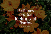 Shailey Morgance Elegant Serif Font, a Serif Font by UICreative (Thumbnail 3 of 13)