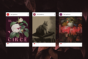 Dark Apothecary Social Media Bundle, a Social Media Template by The Flossy Finch (Thumbnail 13 of 17)