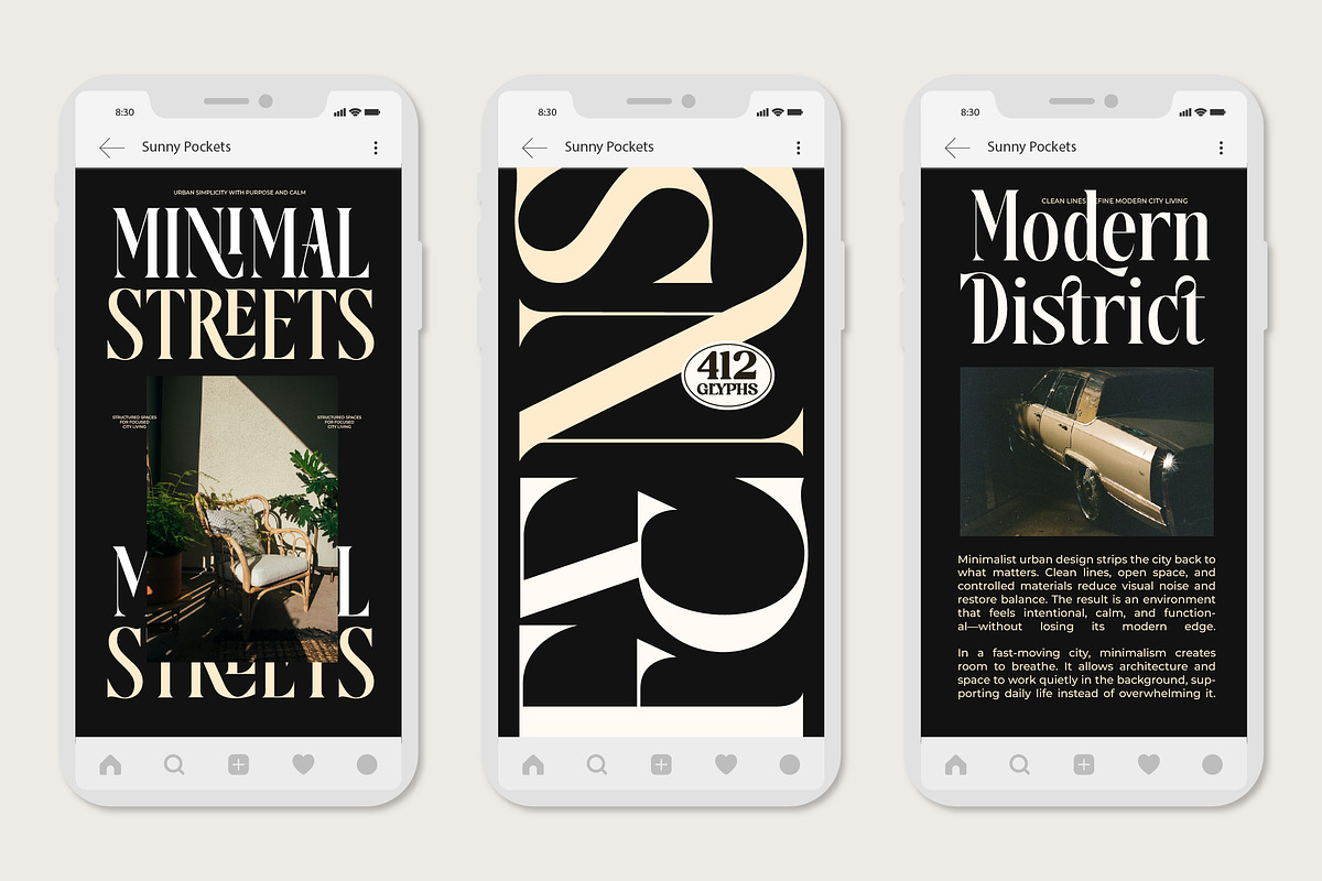 Disriete Modern Serif Display, a Serif Font by AmorfaType (Photo 6 of 11)