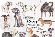 Dogs Alphabet, clipart & patterns, an Animal Illustration by Visual Animal (Thumbnail 1 of 8)