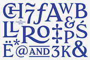 Paradisian Serif, a Serif Font by Dopestype (Thumbnail 5 of 13)
