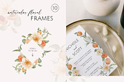 Apricots & Flowers watercolor summer, a Seasonal Illustration by Yuliia Lashevska (Thumbnail 4 of 11)