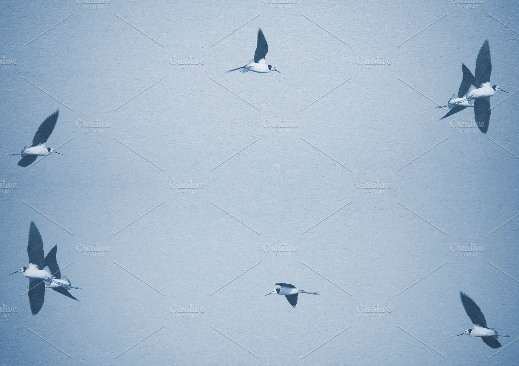 Flying Birds With Copy Space, a Wallpaper Photo by THP Creative