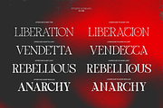 TBJ One Of A Kind Serif Font Family, a Serif Font by Taboja Studio (Thumbnail 5 of 21)