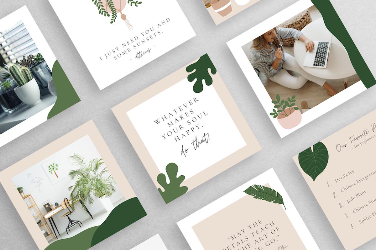 Crazy Plant Lady Instagram Template, a Social Media Template by thetrendytemplate (Photo 3 of 5)