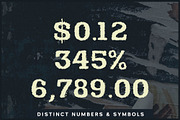 Docket Distressed Typewriter, a Slab Serif Font by Parker Creative (Thumbnail 9 of 11)