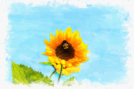 watercolor of happy sunflower, an Arts & Entertainment Photo by pimpic studio