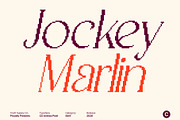 CS Anthea Pixel, a Serif Font by Craft Supply Co. (Thumbnail 4 of 8)