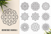 530 Vector Mandala Ornaments, an Animal Illustration by pixaroma (Thumbnail 38 of 55)