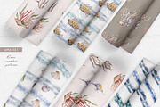 Underwater Magic. Marine Bundle., an Animal Illustration by Designwork (Thumbnail 12 of 21)