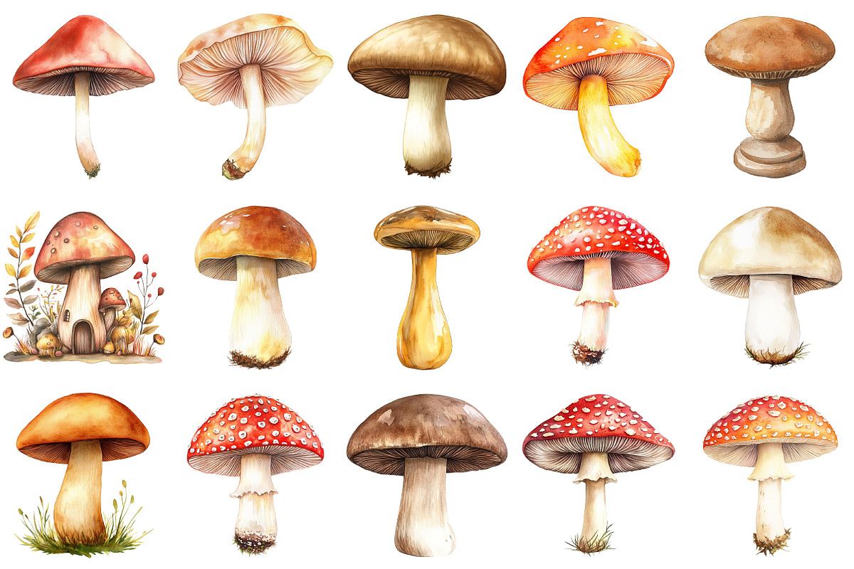 Watercolor Mushrooms Clipart Bundle, an Illustration by Pixels.Craft (Photo 4 of 4)