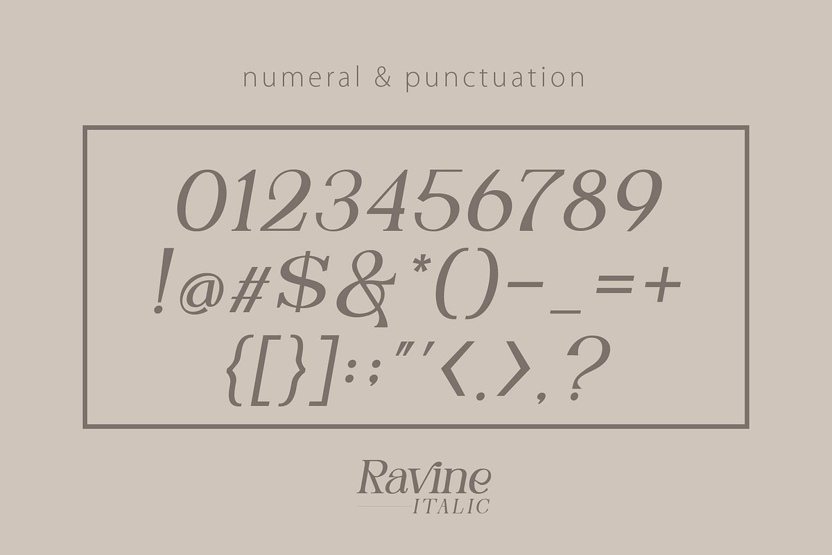RAVINE ITALIC, a Serif Font by Olexstudio (Photo 7 of 8)