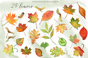 Watercolor: set of forest elements, a Graphic by WatercolorAnn (Thumbnail 2 of 13)