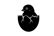 Cute Easter Chick Hatch Vector Bundl, an Illustration by jahid234 (Thumbnail 33 of 51)