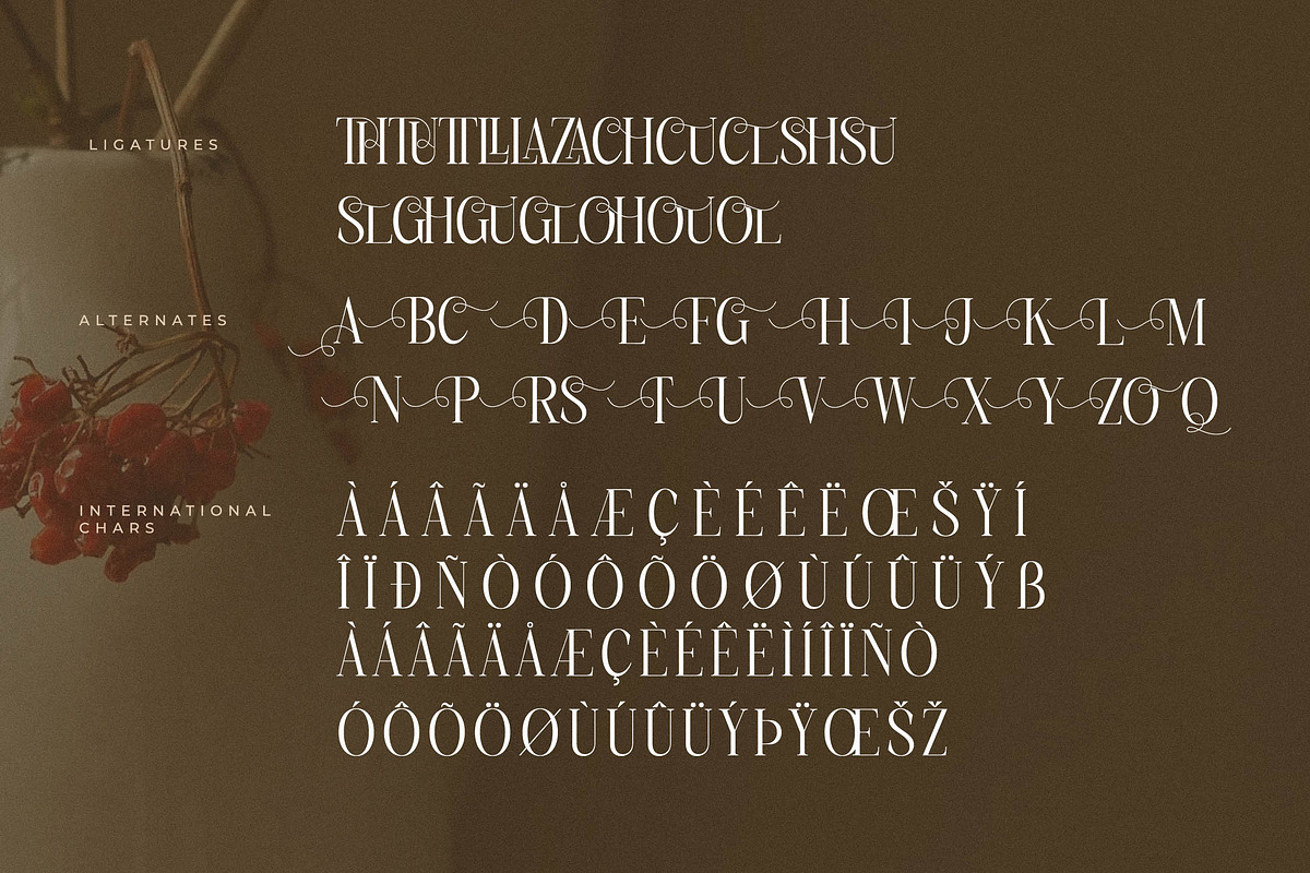 Charthe Modern Font Serif, a Serif Font by Storytype Studio (Photo 14 of 15)