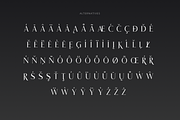 Honeymoon - Elegant Serif Font, a Serif Font by vix.vix (Thumbnail 4 of 6)