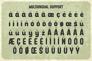 Blackburn - Vintage Font, a Script Font by Alpaprana (Thumbnail 11 of 13)