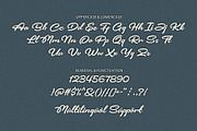 Brickell – Modern Calligraphy Font, a Script Font by HanzelSpace Studio (Thumbnail 8 of 8)