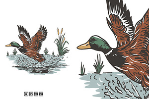 Illustration Duck Nature, an Animal Illustration by kalehstudio