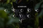 Panther | Script Font, a Handwritten Font by Scratchones (Thumbnail 8 of 9)