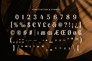 Ragline - Luxury Condensed Font, a Sans Serif Font by Sensatype (Thumbnail 12 of 13)