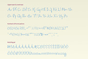 CS Belluga Disco, a Handwritten Font by Craft Supply Co. (Thumbnail 8 of 8)